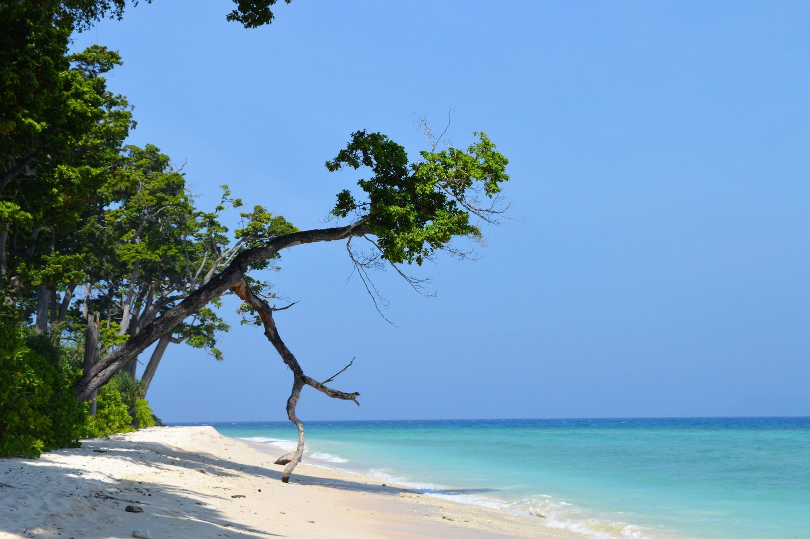 Andaman Island Escape - 6 Days