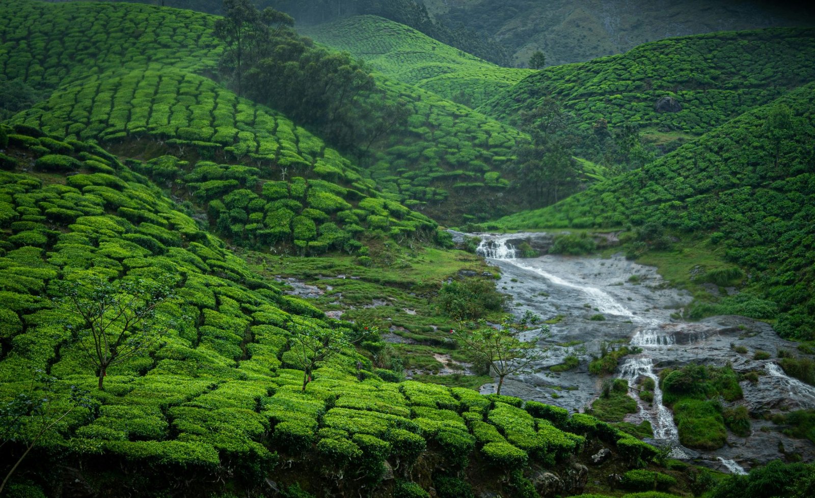 Kerala 5 Nights 6 Days Tour Package