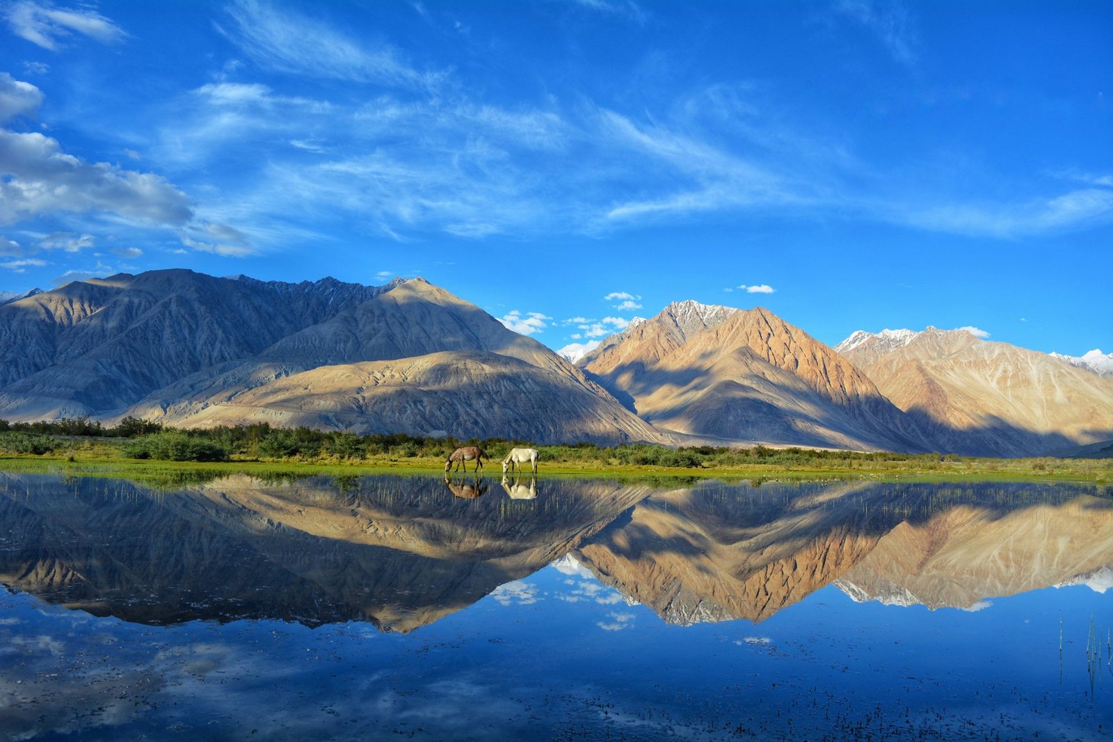 Leh 6 Nights 7 Days Tour Package