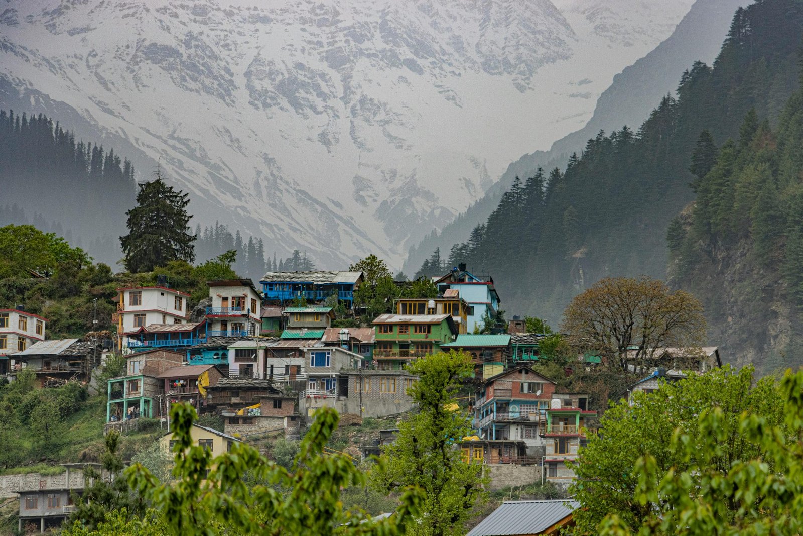 Shimla Manali Honeymoon Special - 7 Days
