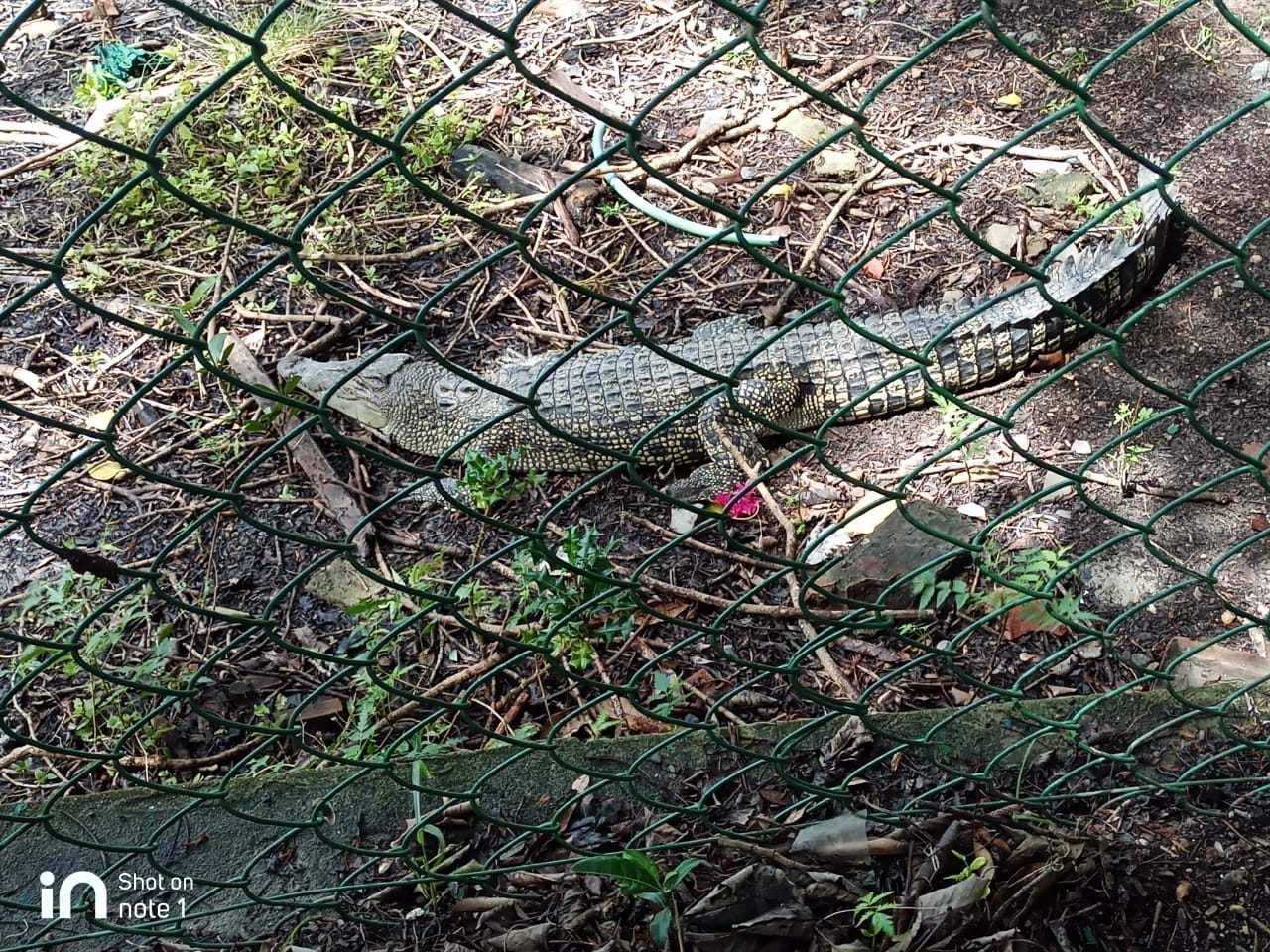 Sundarban  2 Nights 3 Days Group Tour  Package