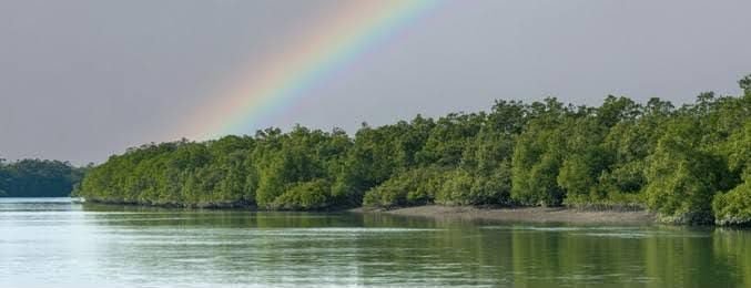 Sundarban  2 Nights 3 Days Group Tour  Package